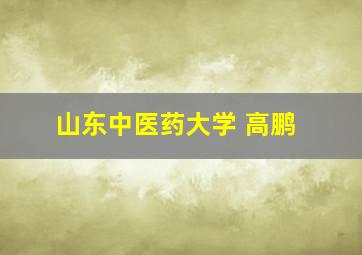 山东中医药大学 高鹏